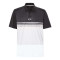 Polo Colour Block Take