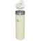 Stanley Aerolight™ Transit Bottle 20oz