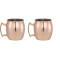 Moscow Mule Mug 4-in-1 Gift Set