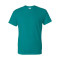 DryBlend® T-Shirt