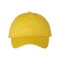 Adult Bio-Washed Classic Dad Hat