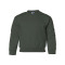 Molleton à col arrondi heavy blend pour enfants