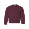 Molleton à col arrondi heavy blend pour enfants