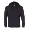 Special Blend Raglan Hooded Sweatshirt