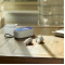 Solekick™ Quick Charge True Wireless Earbuds