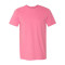 Softstyle® T-Shirt