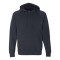 Special Blend Raglan Hooded Sweatshirt