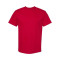 Unisex Heavyweight Cotton Tee
