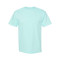 Unisex Heavyweight Cotton Tee