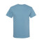 Unisex Heavyweight Cotton Tee