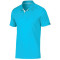 Divisional Polo