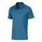 Divisional Polo