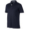 Divisional Polo