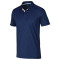 Divisional Polo