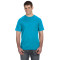 Adult Softstyle T-Shirt