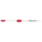 Winter Accent Toothbrush