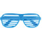Viz Shutter Glasses