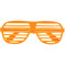 Viz Shutter Glasses