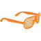 Viz Shutter Glasses