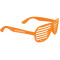 Viz Shutter Glasses