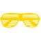 Viz Shutter Glasses