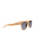 Allen Sunglasses