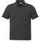 tentree TreeBlend Astir Polo - Men's