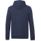 tentree Organic Cotton Zip Hoodie - Men's