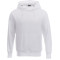 Sweat à capuche en polaire DAYTON pour hommes