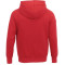 Sweat à capuche en polaire DAYTON pour hommes