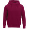 Sweat à capuche en polaire DAYTON pour hommes