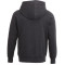 Sweat à capuche en polaire DAYTON pour hommes