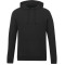 tentree Organic Cotton Classic Hoodie - Men's