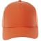 Unisex DOMINATE Ballcap
