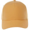 Unisex DOMINATE Ballcap