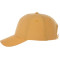Unisex DOMINATE Ballcap