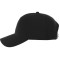 Unisex DOMINATE Ballcap