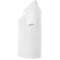 Women's DADE Short Sleeve Polo