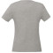 American Giant Classic Cotton V-Neck T - Women's