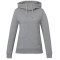 tentree Organic Cotton Banshee Hoodie - Women's