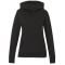 tentree Organic Cotton Banshee Hoodie - Women's