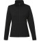 MERRITT Eco Knit Full Zip - Women's