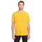 Adult Fusion ChromaSoft Performance T-Shirt