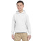 Chandail à capuchon pour adolescents Heavy BlendMD 13,3 oz, 50/50