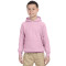 Chandail à capuchon pour adolescents Heavy BlendMD 13,3 oz, 50/50