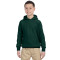 Chandail à capuchon pour adolescents Heavy BlendMD 13,3 oz, 50/50