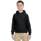 Chandail à capuchon pour adolescents Heavy BlendMD 13,3 oz, 50/50