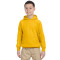 Chandail à capuchon pour adolescents Heavy BlendMD 13,3 oz, 50/50