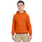 Chandail à capuchon pour adolescents Heavy BlendMD 13,3 oz, 50/50