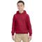 Chandail à capuchon pour adolescents Heavy BlendMD 13,3 oz, 50/50